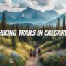 hiking trails in calgary